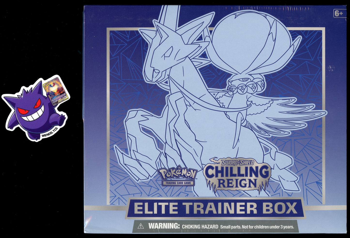 Chilling Reign Elite Trainer Box (Ice Rider)
