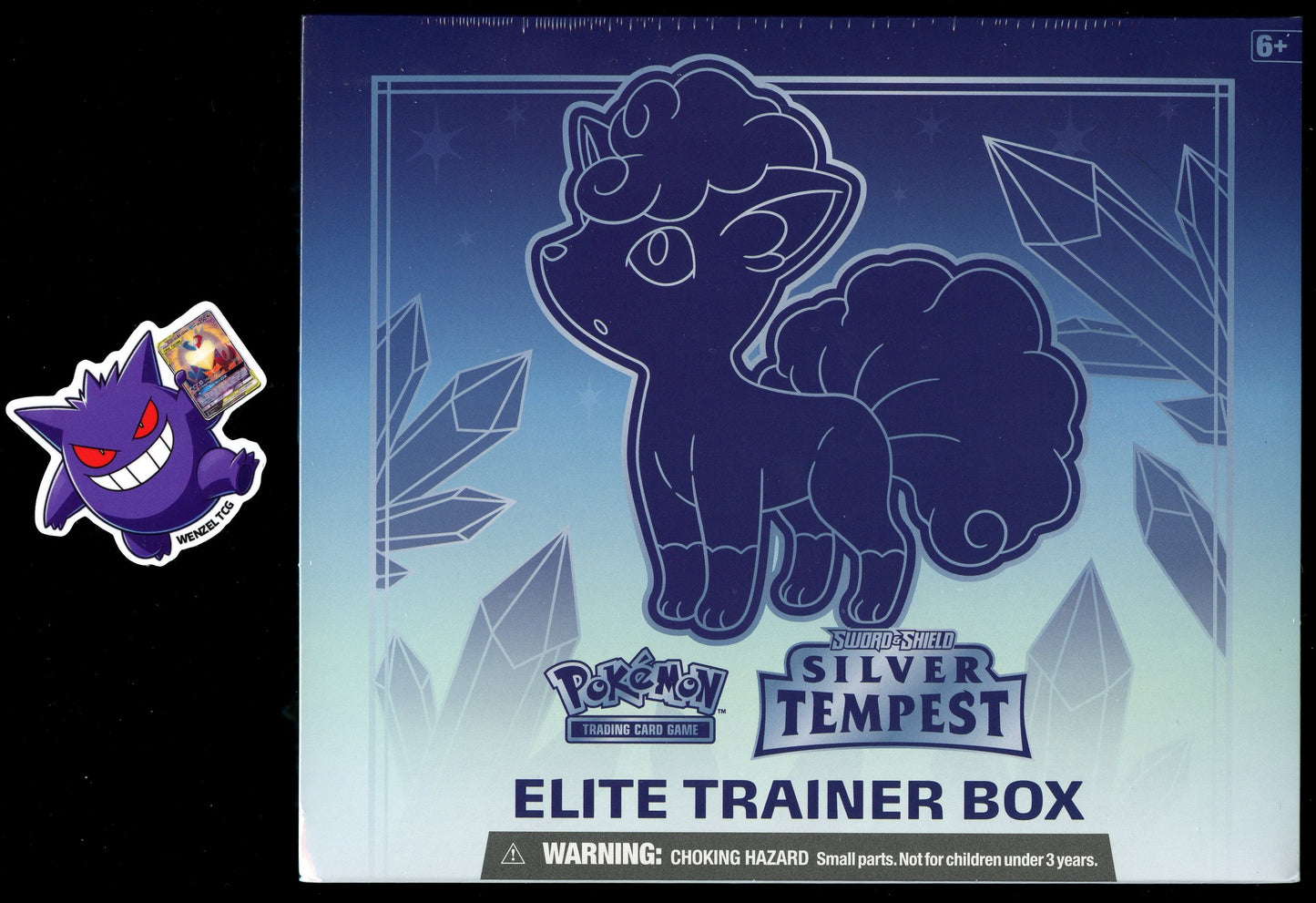 *DAMAGED* Silver Tempest Elite Trainer Box