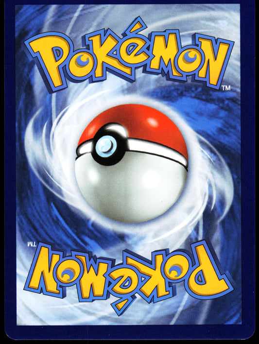 Sword & Shield Promo Cards Pikachu V SWSH143