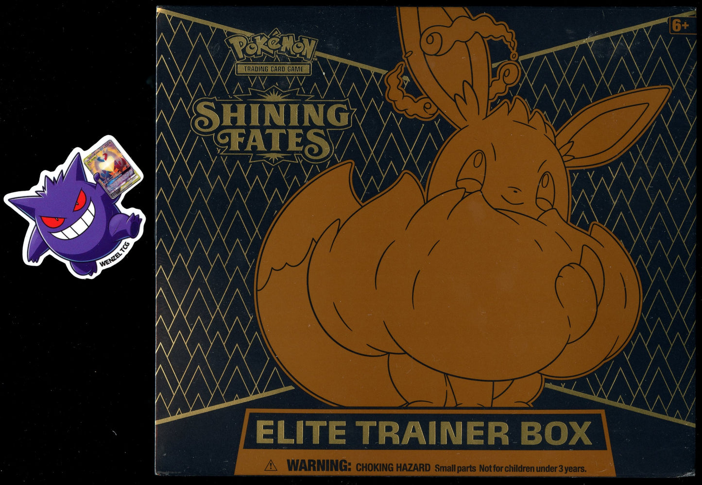 Shining Fates Elite Trainer Box