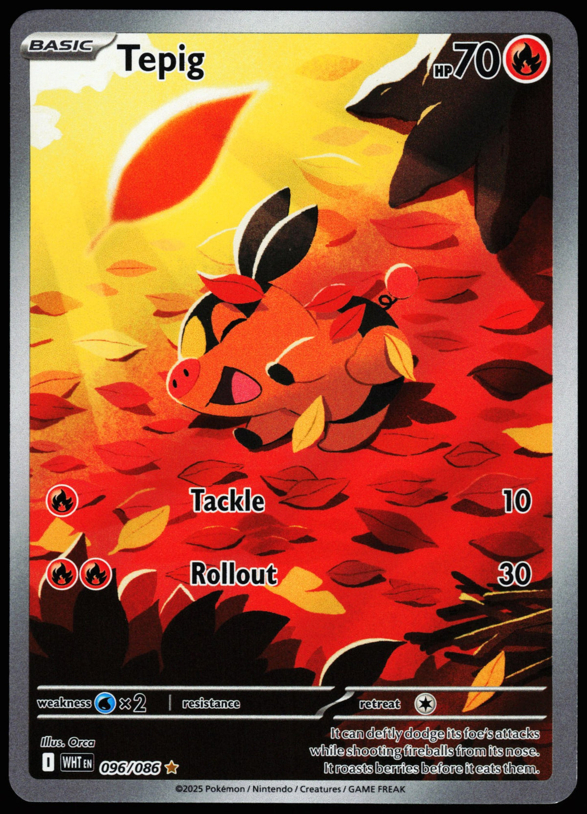 Tepig 096/086 Illustration Rare White Flare Pokemon Holo Near Mint