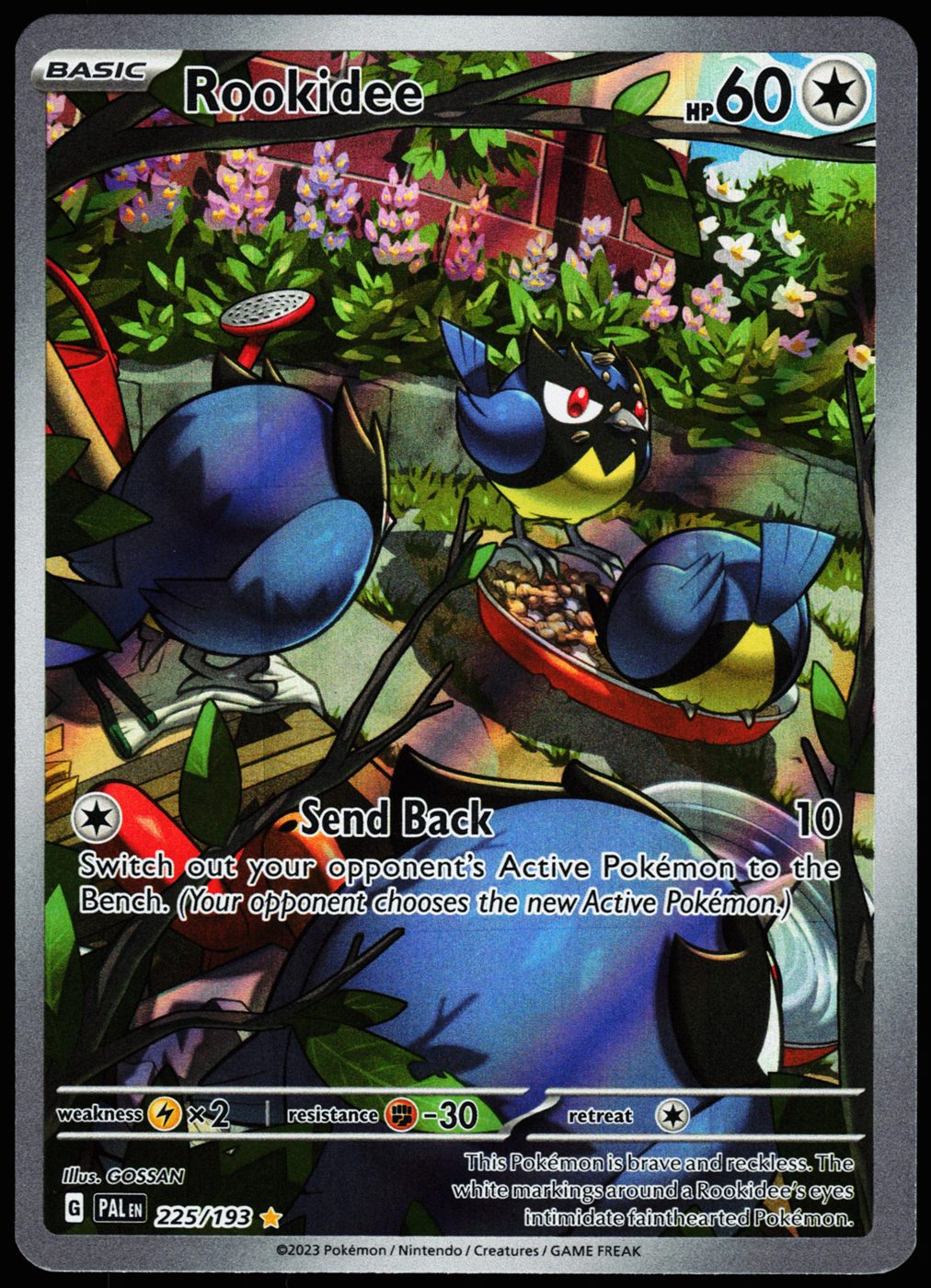 Rookidee 225/193 Illustration Rare Paldea Evolved Pokemon Holo Near Mint front