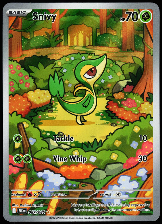 Snivy 087/086 Illustration Rare Black Bolt Pokemon Holo Near Mint front